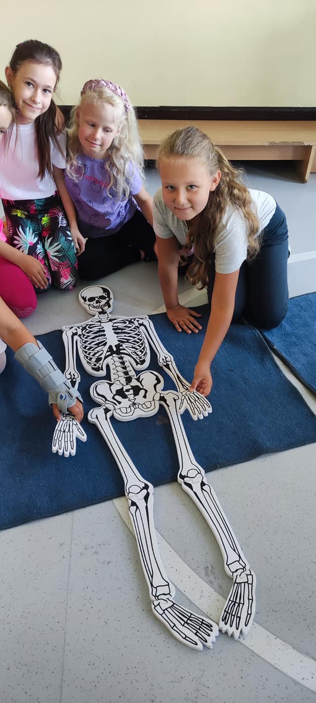 305410831 511246551001329 6512800597914962022 n