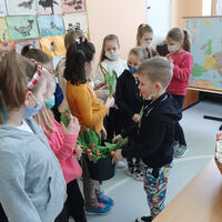 hdimg788f9afdb35d19fad520bfae28b3c9