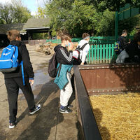 hdimg381b6ceec838e5c01fa2a0a865b682