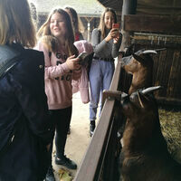 hdimg3971a7476fb6ebff430cab221bf58c