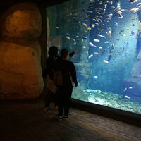 hdimg671d3cbe29308054a4b828aa7fcd84