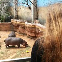 hdimg7306f60344d28992325ed83947455c