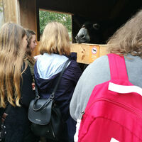 hdimgb76ba336f16e4c521ab67c541a1ac1