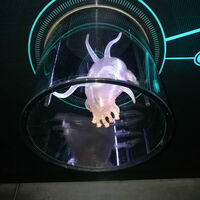 hdimgc91742a0b960e2e13499e3b174befa