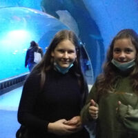 hdimgfaebd70121f6d0679452aef882ca7e