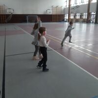 hdimg175d963494d1865889c779123b43b1